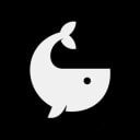 WhaleReports - Recognized the need for quality and fun crypto-related content.