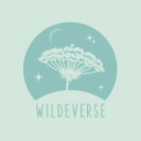 Wildeverse - The First hybrid NFT festival.