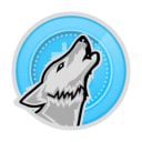 Wolf Crypto - The management & promotion of ICO’s.